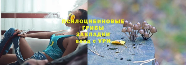 не бодяженный Алзамай