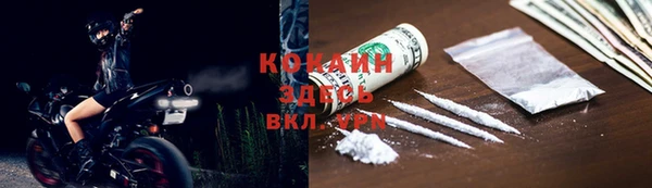 дмт Абаза