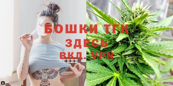 дмт Абаза